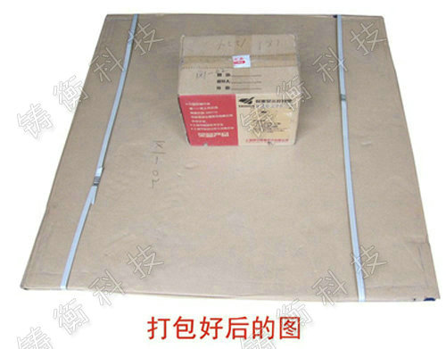 自動(dòng)打印地秤