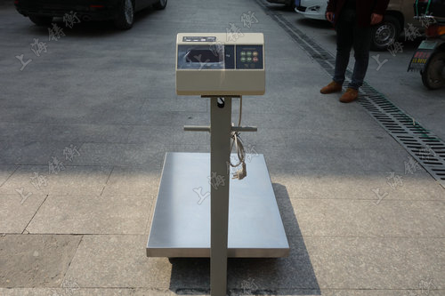 不銹鋼電子臺(tái)秤