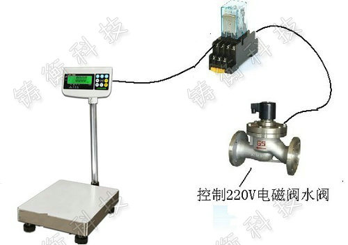 不銹鋼電子臺(tái)秤