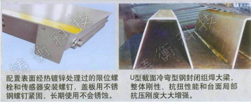 電子汽車(chē)衡